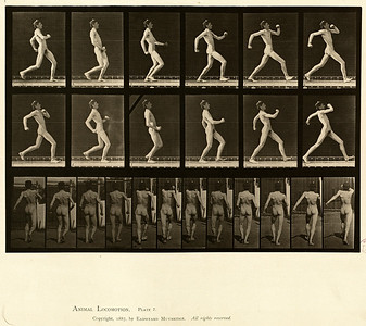 6 - Vol 1 - Plate 7